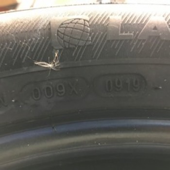 ขายยางรถยนต์ Michelin Latitude Sportปี19 255/55R19 